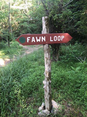 WPSP Fawn Loop Sign.JPG