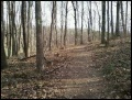 WPSP Overlook Trail path.jpg
