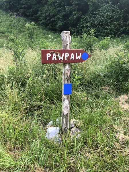 File:WPSP Pawpaw sign.JPG