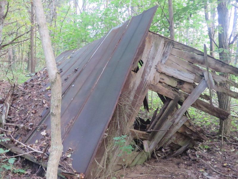 File:WPSP SW Collapsed shed 2.jpg