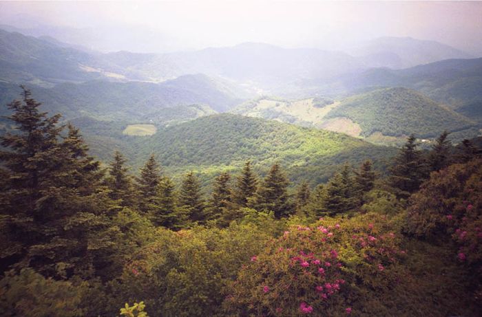 Grassy Ridge - TEHCC Wiki