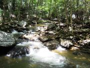 Little Stony Creek Falls - TEHCC Wiki