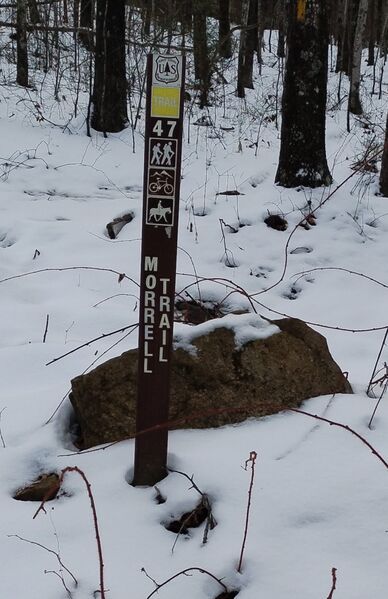 File:Morrel Trail Lower Trailhead.jpg