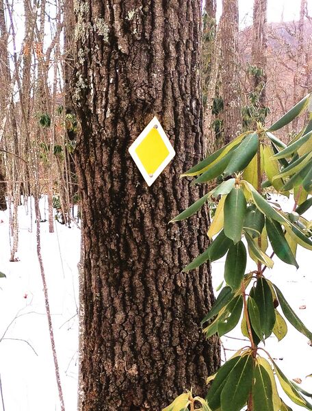 File:Morrell Trail Trailmarker.jpg