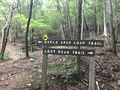 PCSP Lost Road Trail - first junction with Maple Arch Trail.JPG