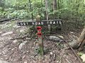 PCSP Lost Road Trail - trail junction sign.JPG