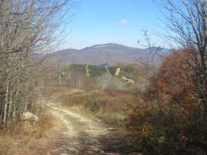 View of Whitetop Mountain and Mt Rogers from Rogers Ridge