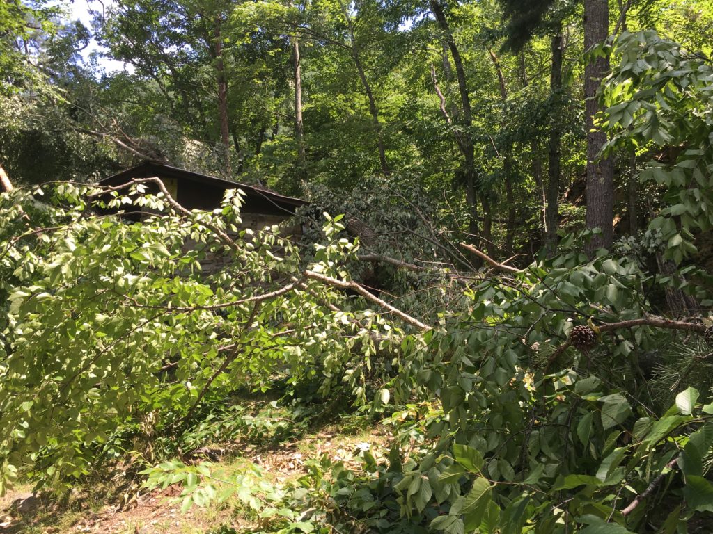 Laurel Fork Shelter - July 2016 Storm Damage